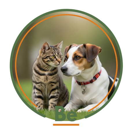 Pet World