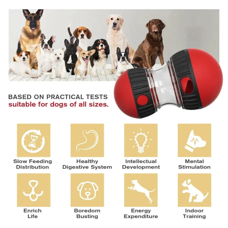 Dog Puzzle Toy