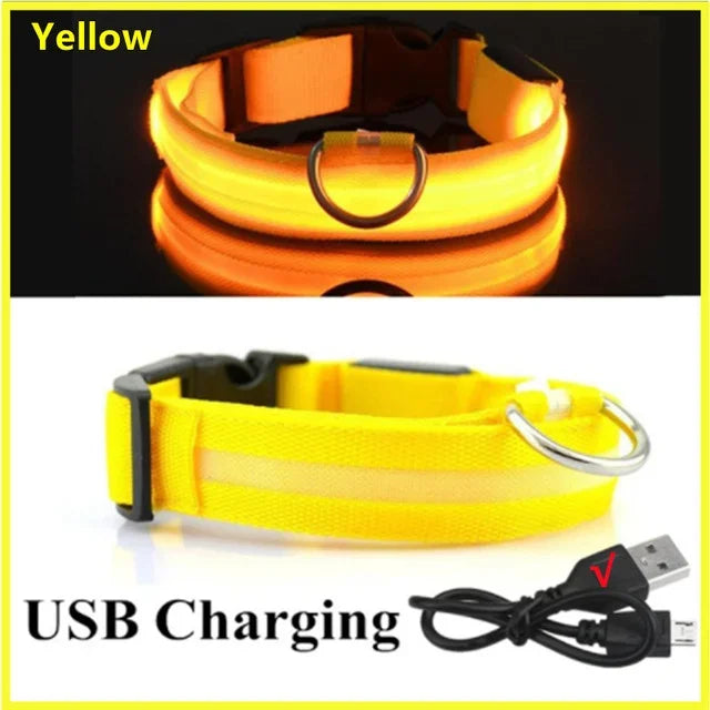 SafeGlow™ Pet Collar