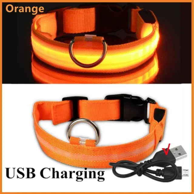 SafeGlow™ Pet Collar